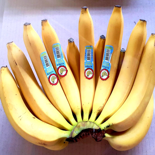 프리미엄 고당도 에콰도르 바나나 14kg이상 한박스 5 6 10수 랜덤발송, 1개, 5수 6수 10수 랜덤발송