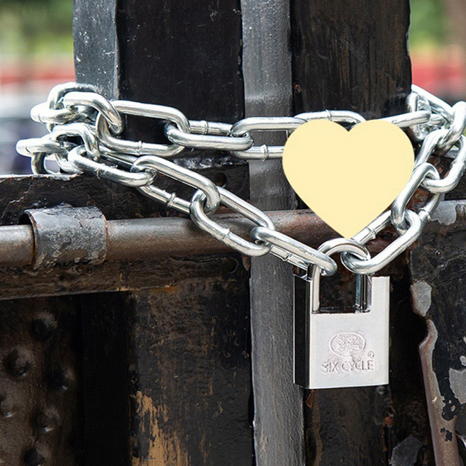 랩앤툴스 쇠사슬 자전거 체인자물쇠 도난방지, 1개, 50cm