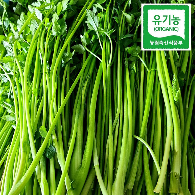 전북 순창 시골 유기농 미나리, 1kg, 1개