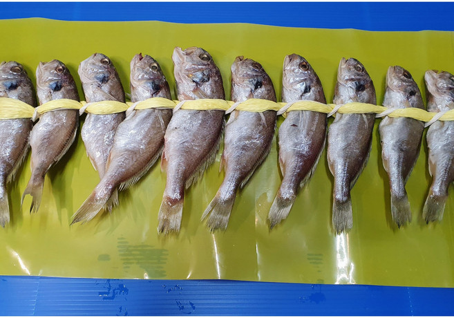 다원 법성포 영광굴비 10미(백조기), 1개, 900g~950g사이