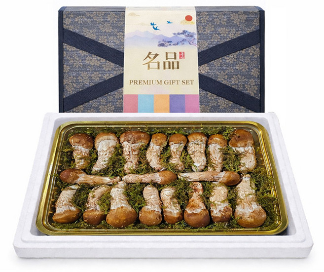 참송이버섯 [K-참송이] 친환경 특 A 등급 500g 1kg 명절 선물세트 추천 국산 무농약, 1세트, 특등급 1kg