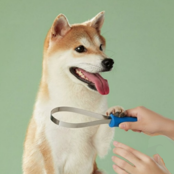 마이오디너리 포레스트핏 반려동물 브러쉬 강아지 고양이 빗, 1개, 블루