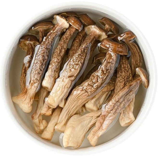 고급 식용 사슴뿔버섯 건조, 500g - 쿠팡