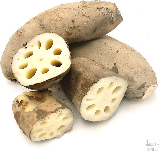 국내산 연근 생연근 흙연근 정품 특품 1kg 3kg 5kg 10kg [노블프레쉬], 1박스, 5kg(흙연근)