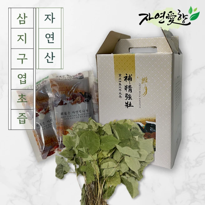 자연애향 강원도 자연산 삼지구엽초 음양곽 즙 진액 액기스 110ml 60포 차, 1개 - 쿠팡