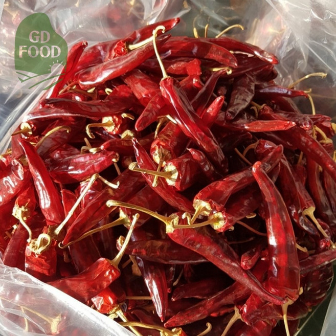 건담농수산 국산 태양초 건고추 10근 마른 말린고추 건홍고추 특품, 6kg, 1박스, 6kg