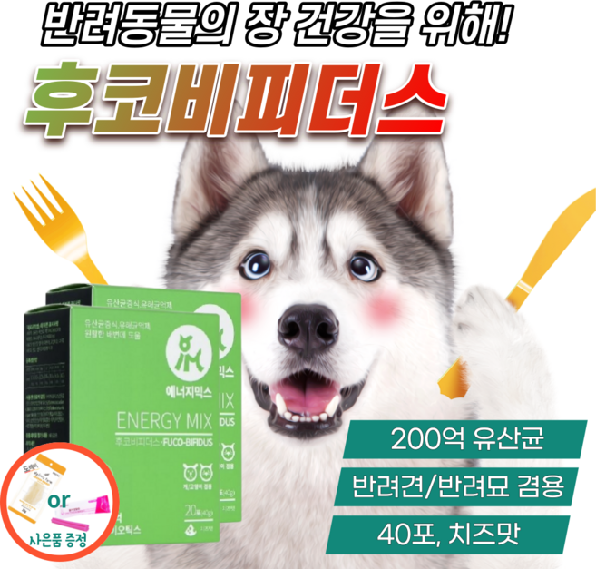 강아지 장 건강 에 도움 스틱 영양제 고양이 펫 유산균 후코이단 비피더스 위 췌장 소화 에 좋은 보조제 반려견 위장 케어 분말 파우더 치즈 맛 프로바이오틱스 면역력 장염 설사 예방, 40g, 2개(40포)