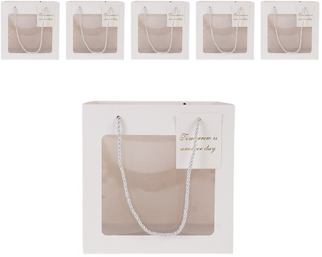 빛공 바닥넓은 정사각 투명창 윈도우 쇼핑백, 6개, 화이트