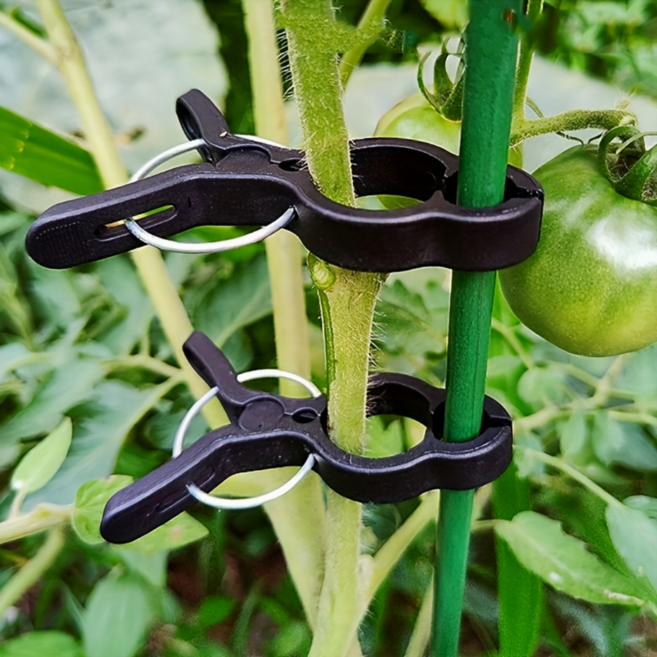 간편한 농사용 고추 토마토 가지 고정 집게 10p 세트, 1세트