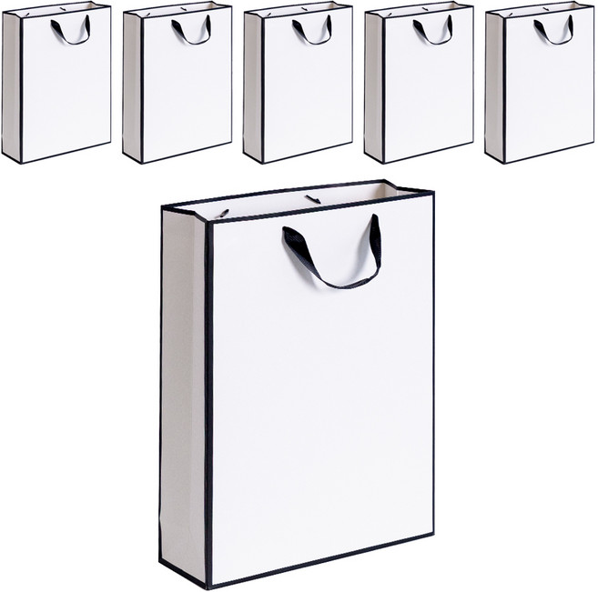 VITALO 시그니처라인 쇼핑백 선물용 답례품 두꺼운 고급 종이가방 튼튼한 쇼핑백 6P, 6개, PGC_WH(화이트)