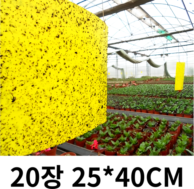 3초쿨 노랑트랩 초대형 하우스 초파리 날파리 말벌 해충퇴치기 모기끈끈이, 20개