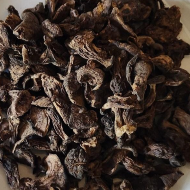 티벳산 건조능이버섯 c급 100g, 1개