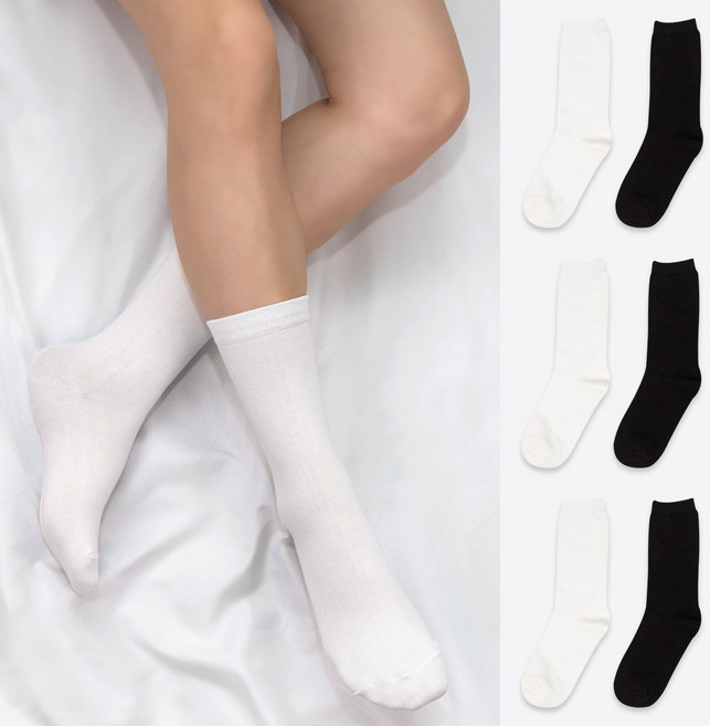 삭스너 여성용 컬러플 무지 장목 양말 6켤레 SET