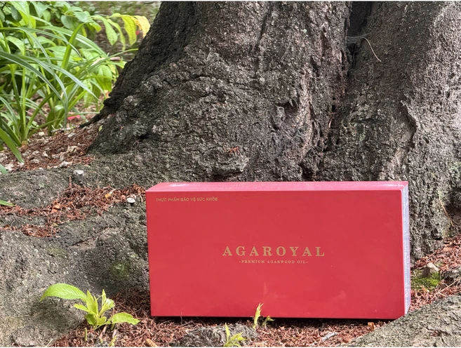 베트남 침향 (아가로얄) 30정x3병 90켑술, 30개 - 쿠팡