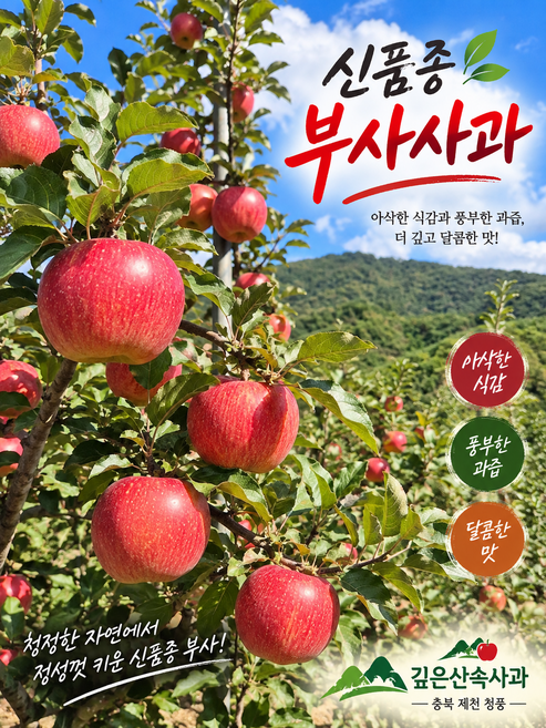깊은산속 고당도 부사(신품종미안마) 햇사과 제천 청풍 고냉지에서 정성것 재배한 사과 농장직송, 1박스, 8kg42~50과