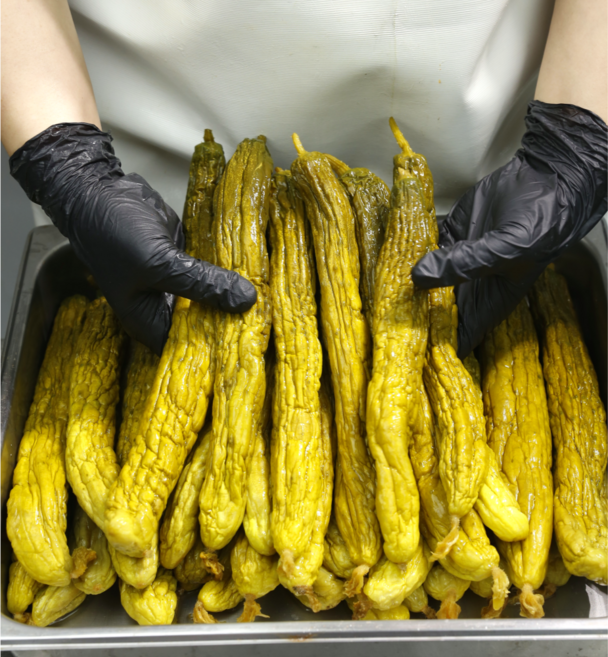 철구네반찬 100%국산 통오이지 10개 1묶음, 10개x1묶음