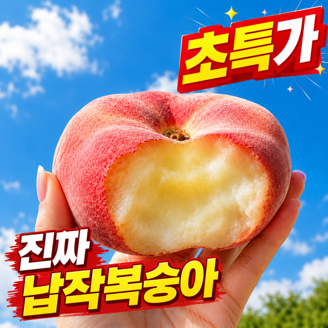 [100박스한정] 고당도 거반도 천반도 납작복숭아, 1개, 1kg