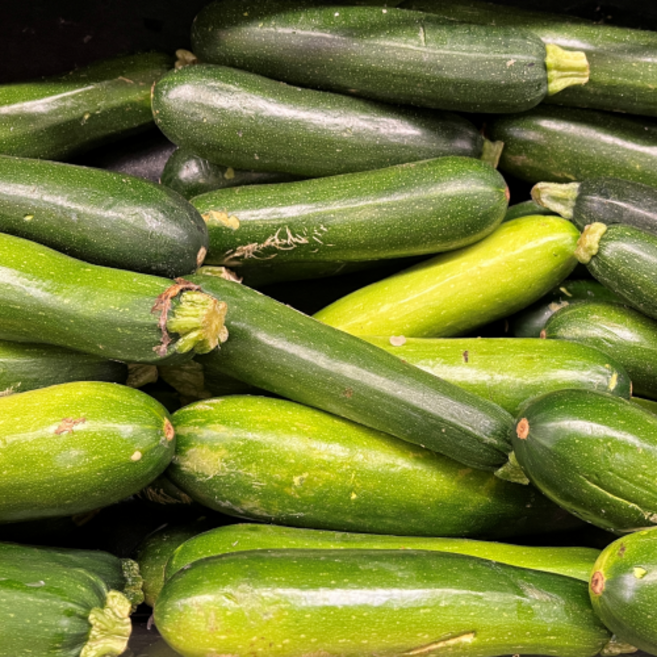 국내산 쥬키니 호박 10kg 5kg 2kg 못난이 가정용 주키니 인큐, 1개, 2kg 내외