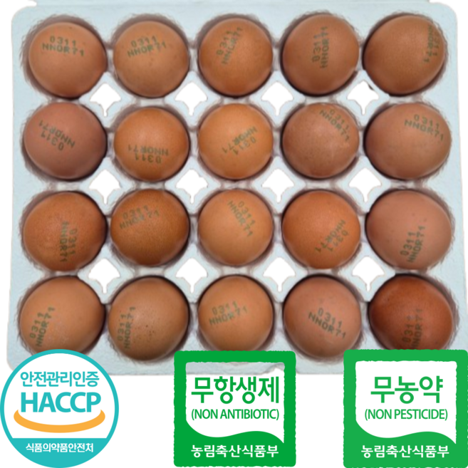 오가네 난각번호1번 유정란 계란 무항생제 인증 자연방사, 3개, 20구