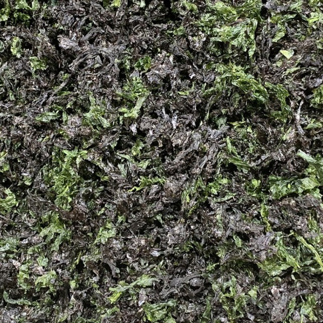 썸앤썸 찢은 건파래 업소용 대용량 도매, 1개, 1kg