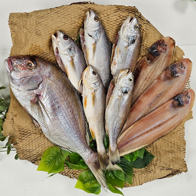 해찬 명품 세트 반건조 생선 선물세트 [참돔특대(45cm) 1미 수조기특대(55cm) 3미 백조기 대(26~29cm) 6미 박대 대(30cm) 3미, 1세트