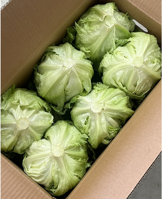 채소모아 산지직송 벌크 양상추 12통 한박스 식자재 업소용 대용량, 300g, 12개