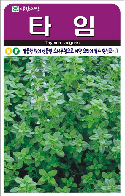 아람종묘 허브 타임 씨앗, 2개