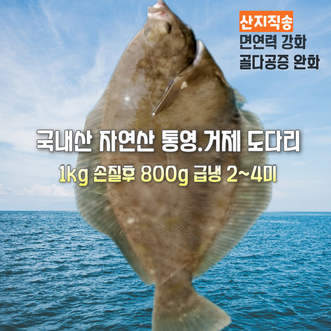 [산지직송] 국내산 자연산 남해안 새벽조업 당일손질 손질후 800g 급냉 제철생선 흰살생선 선물용 가정용, 1세트, 자연산 새벽조업 당일손질 손질후 800g 급냉