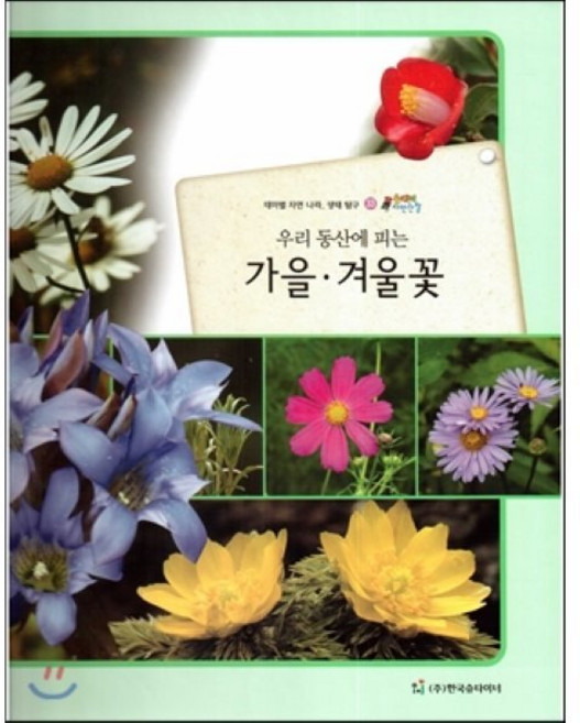 올빼미 자연관찰 33 우리 동산에 피는 가을 겨울꽃 (식물), 한국슈타이너