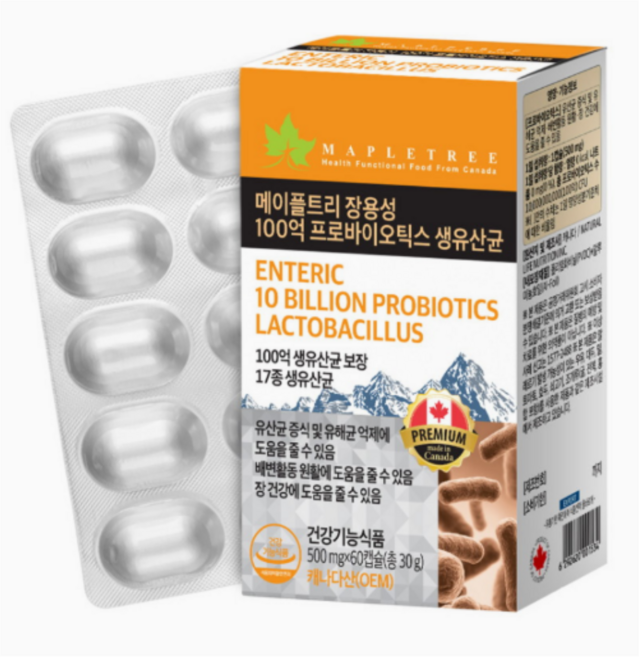 메이플트리 장용성 100억 프로바이오틱스 생유산균 500mg, 180개, 1정