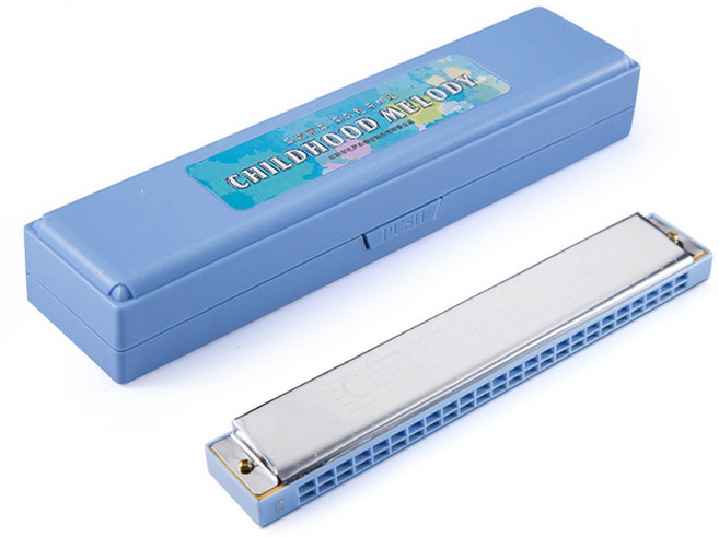BUZOO 학습용 하모니카 24홀 하모니카 c키 24홀, 1개, 푸른 색