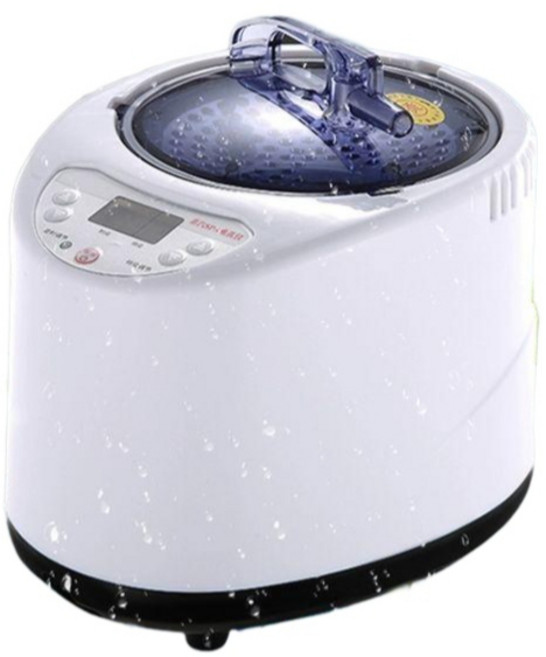 1인용 홈 훈증기 가정용 전신 사우나 이동식, 1개, 3L 1500W