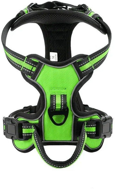 애완 동물 가죽 끈 목줄 산책, XL, green