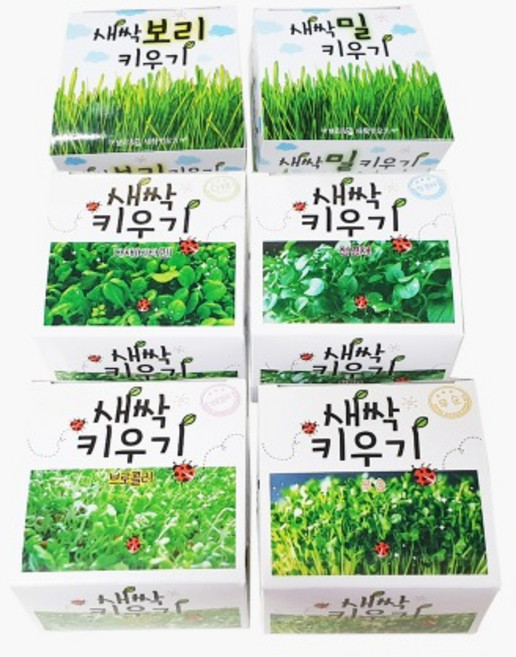 학습키트 새싹키우기 1갑 12개입, 새싹키우기 1갑(12개입／랜덤), 1개