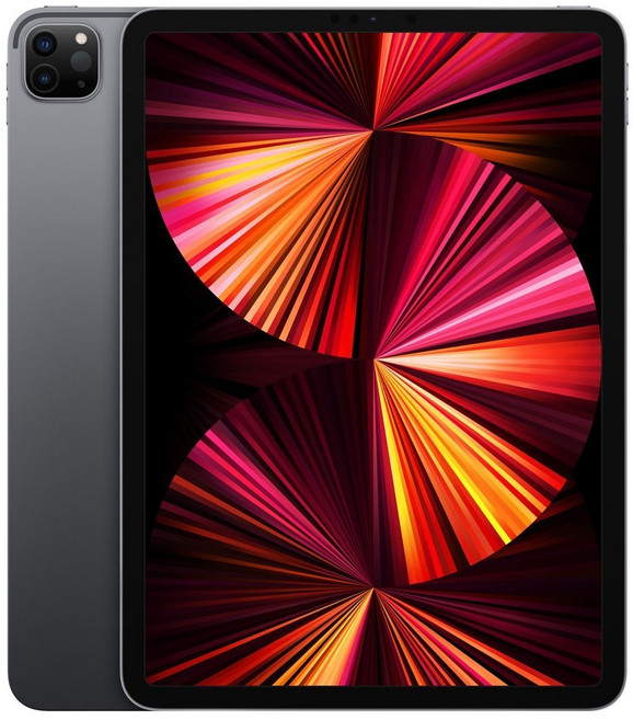 Apple 아이패드 프로 11 3세대 M1칩, 스페이스 그레이, 128GB, Wi-Fi