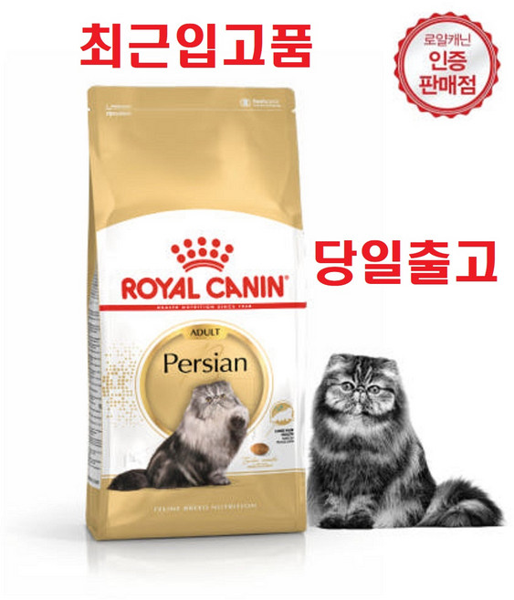 2kg 당일출고(최근입고분) 로얄캐닌 고양이사료 페르시안 어덜트 2kg 페르시안 전용사료 건강한 피모 헤어볼배출 소화력향상 증정품)랜덤간식, 1개, 닭+오리