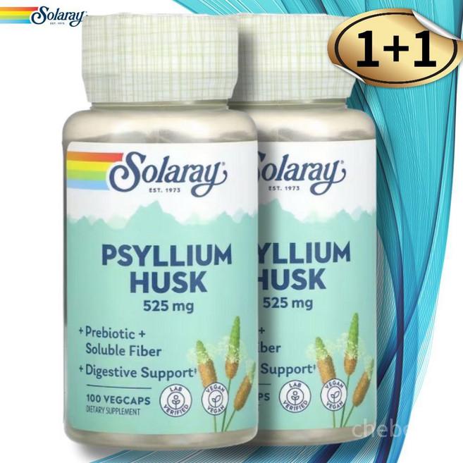 솔라레이 차전자피 가루 분말 100캡슐2통 차천차피 자전자피 차전자 피, 2개, 100정