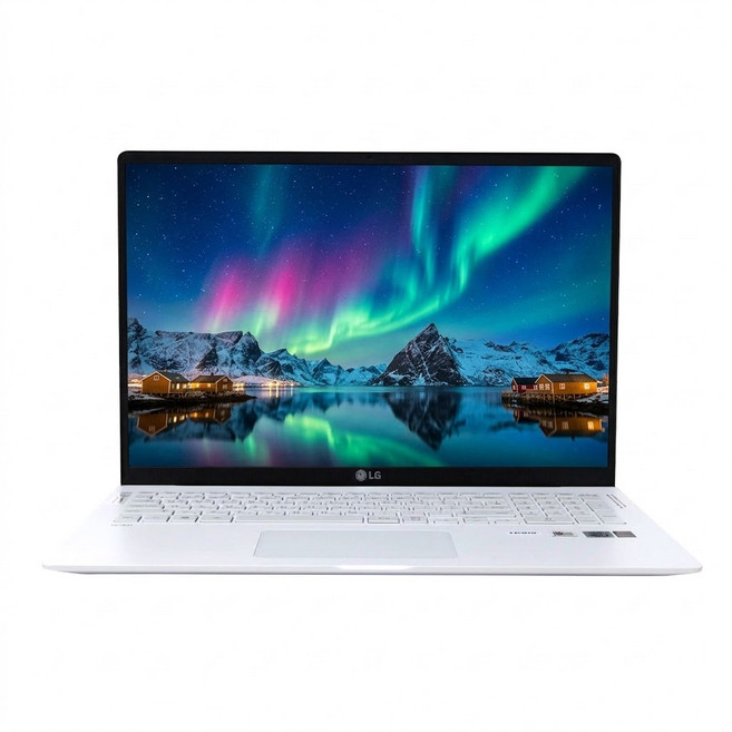 LG전자 그램 FHD 15.6인치 15Z90N i7 10세대/16GB/NVMe SSD 512GB/윈11
