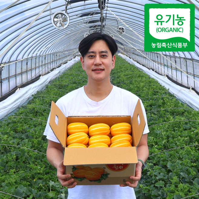 성주 유기농 햇 참외 꿀참외 농장직송, 1박스, 2kg