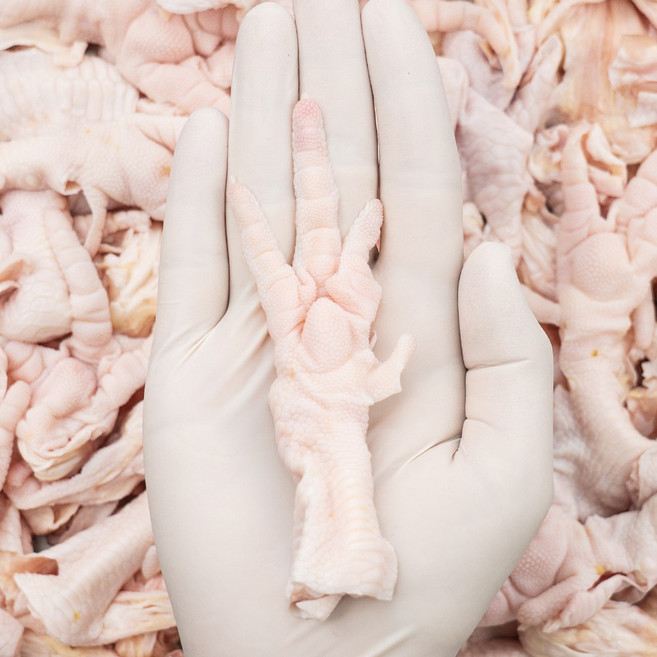 수입산 무뼈닭발 1kg 냉동 생닭발 수입닭발 닭발, 단품, 단품