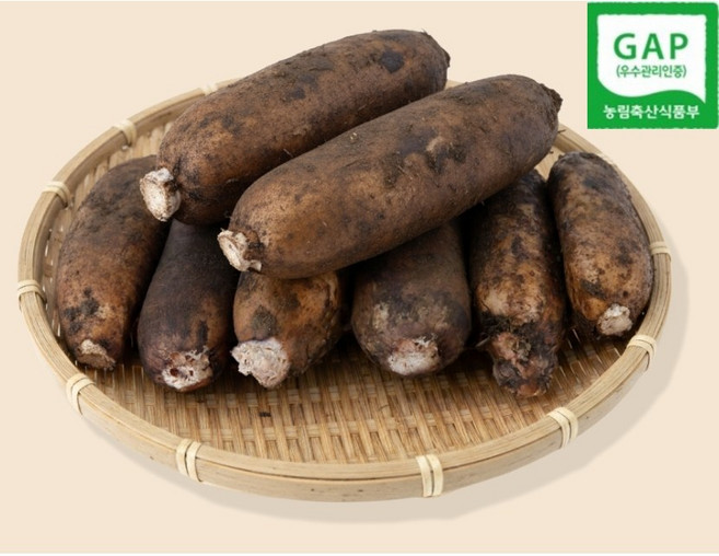 오빠연근 반야월 찰땅 찰연근 연근, 1박스, 특상품 연근 1kg