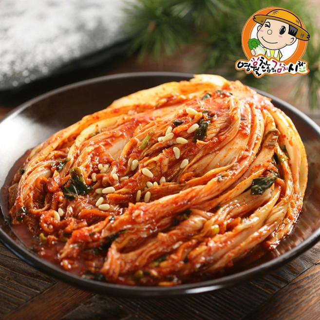 영월촌놈의김치 어머니 손맛 배추김치 5kg, 1개