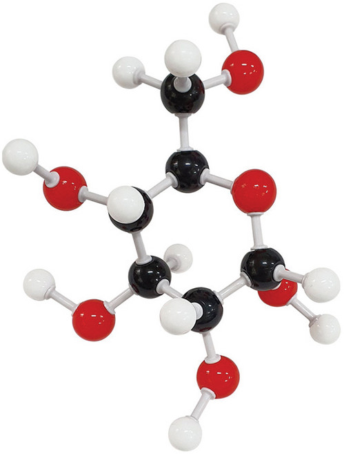 포도당 분자구조모형조립세트(1세트) (KSIC-14022)