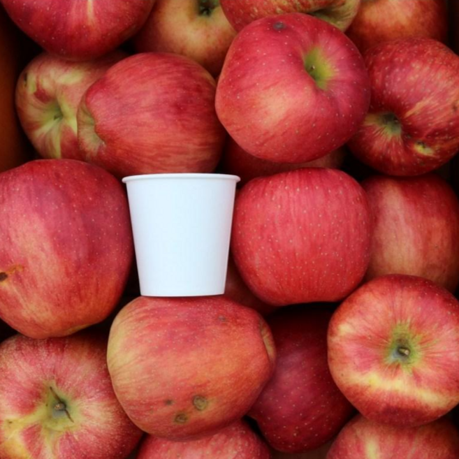 [지금베스트] 가장잘팔리는 못난이사과 가성비 갑 사과, 1개, 10kg