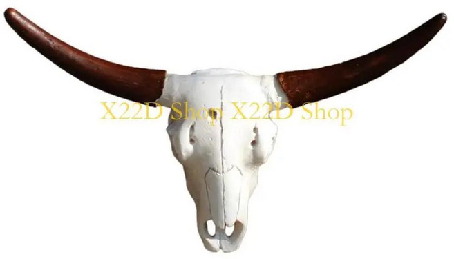 섬세한 홈 월 장식 레진 롱 혼 황소 머리 시선 잡기 공예, 1. cow skull, 1개