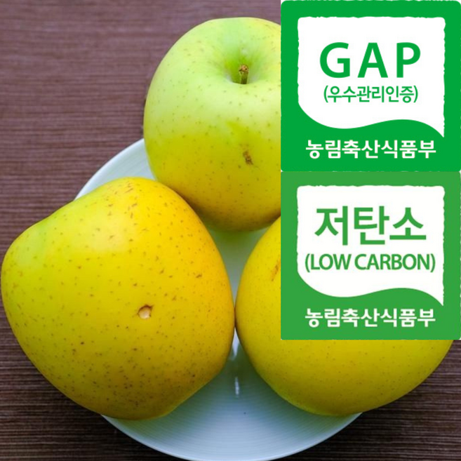 [청송직송특가] 농약안심 유황먹인 황금빛사과 시나노골드, 1박스, 3kg(가정용)