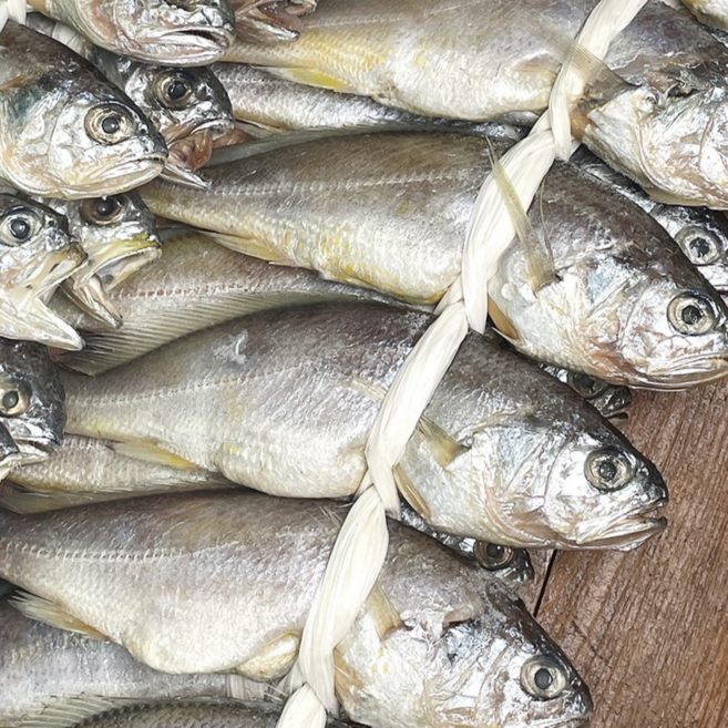 국민 밥도둑 국내산 법성포 영광굴비 20미, 1개, 900g내외(20미)