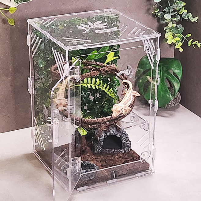 에버리움 크레스티드 게코 도마뱀 아크릴 사육장 세트 - 소형 20x20x30cm, 1세트, 기본투명