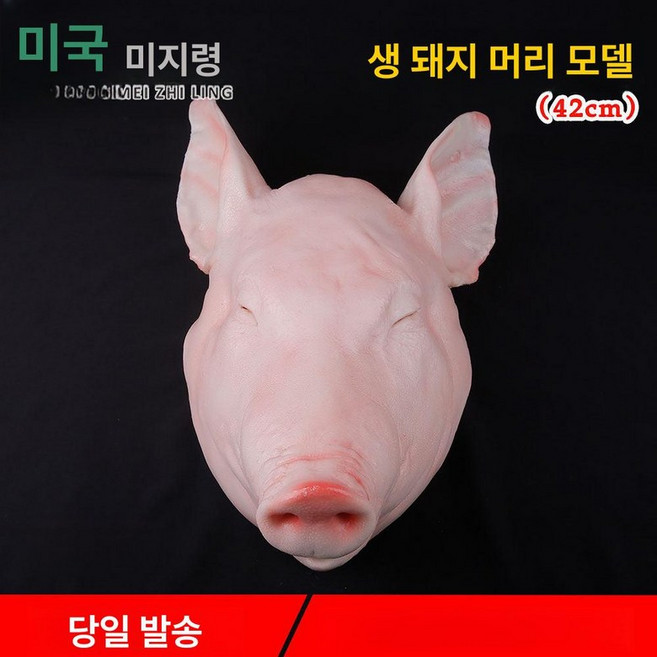 고기모형 목살 조형물 촬영 가짜 돼지갈비 고기덩어리, 생 돼지머리 42x28.5x16cm