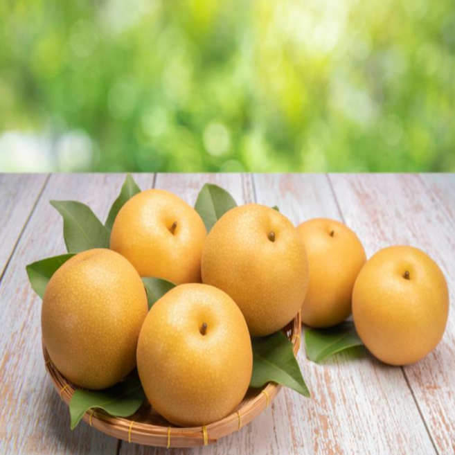 국내산 가정용 상주배 고당도 햇배 생과 1.2kg, 2개, 1.2키로